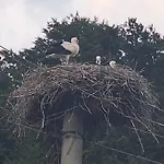Lägenhet Rural Retreat- Kmecki Oddih *