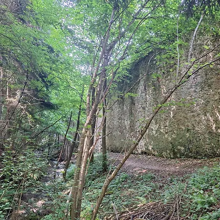 Rural Retreat- Kmecki Oddih Appartement