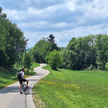 Apartma Kmecki Oddih, Rogla, Nature, Relax, Bike Path, 15 Min From Highway Poljcane