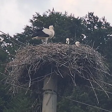 Appartement Rural Retreat- Kmecki Oddih *