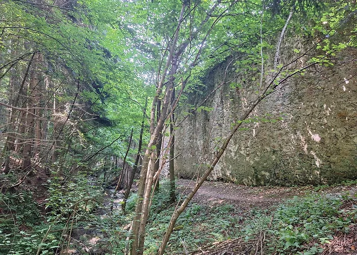 Rural Retreat- Kmecki Oddih Appartement