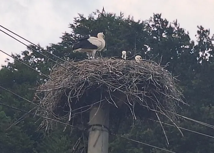 Appartement Rural Retreat- Kmecki Oddih *